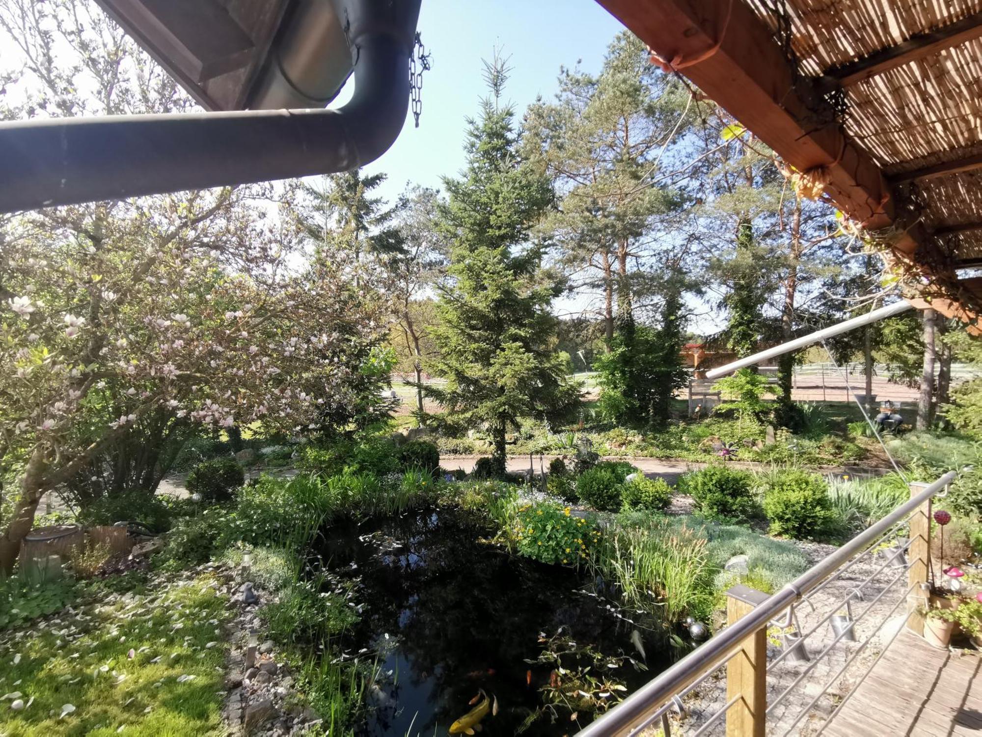 Studio Und Apartment Auf Dem Pferdehof Burgpreppach Экстерьер фото