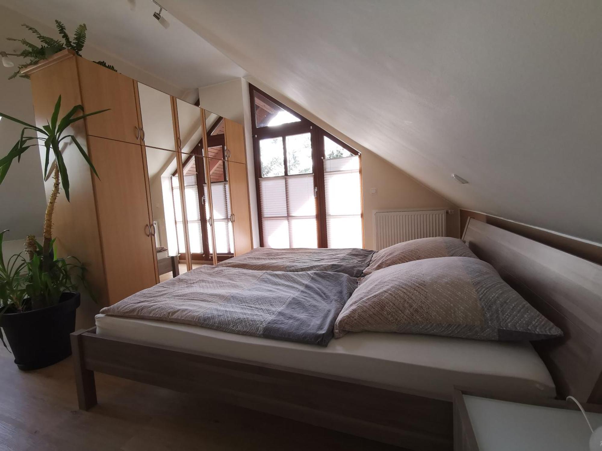 Studio Und Apartment Auf Dem Pferdehof Burgpreppach Экстерьер фото