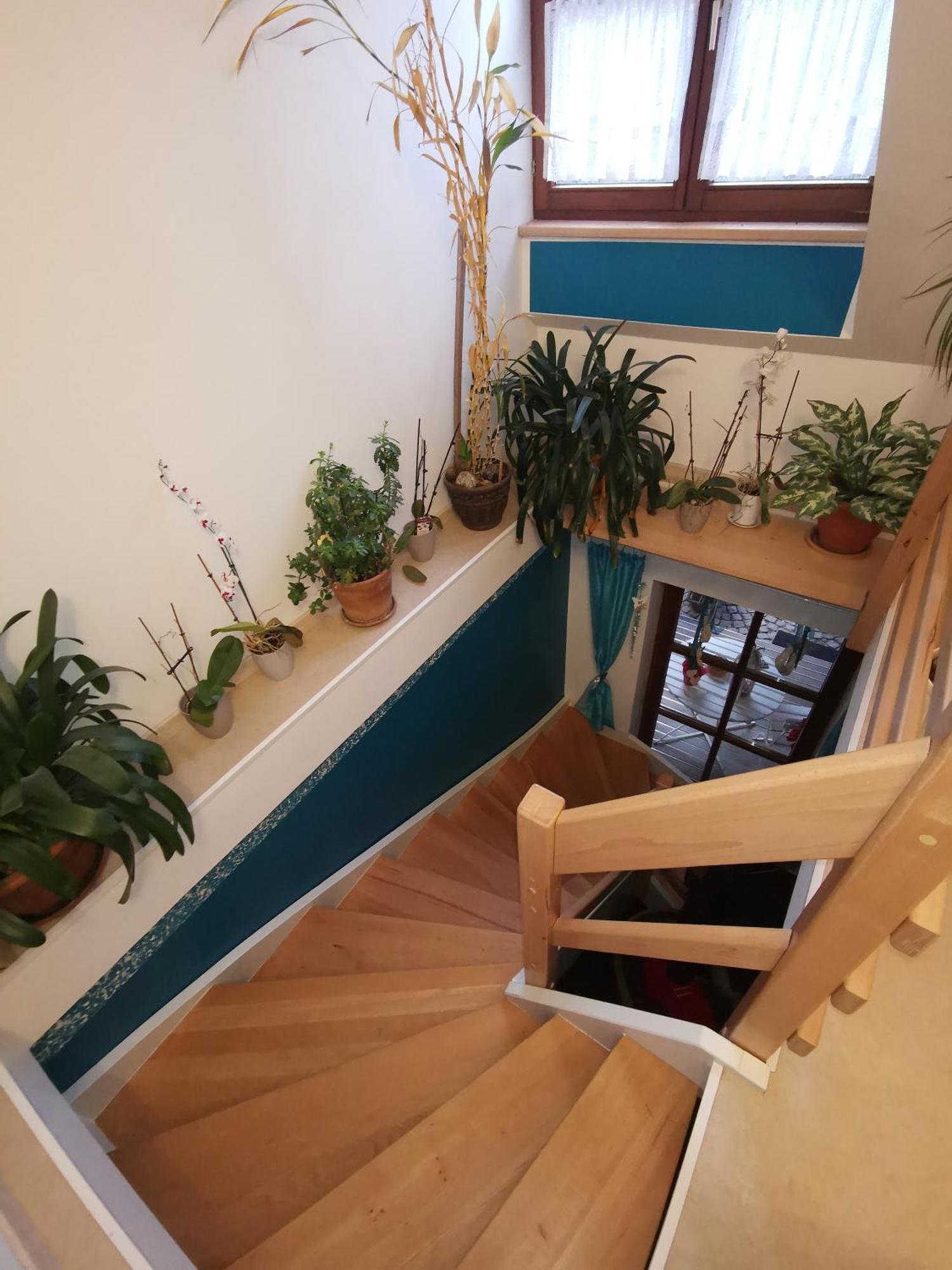 Studio Und Apartment Auf Dem Pferdehof Burgpreppach Экстерьер фото