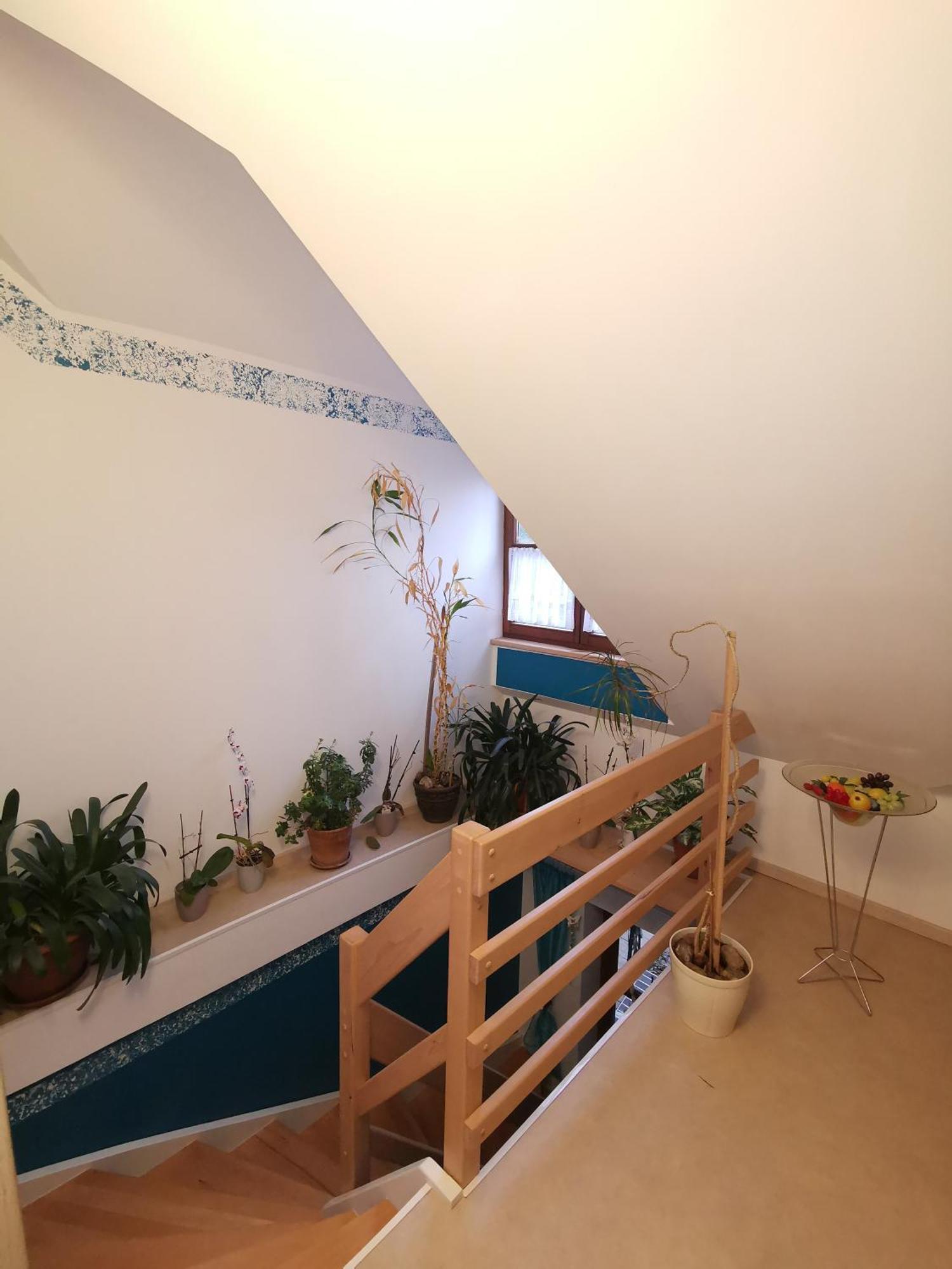 Studio Und Apartment Auf Dem Pferdehof Burgpreppach Экстерьер фото